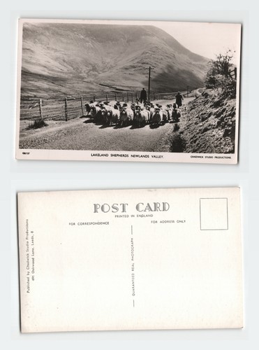 Vintage postcard newlands - vintage,