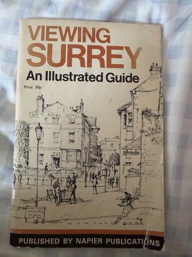 Viewing surrey illustrated - surrey,