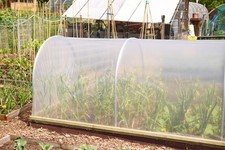 Cloche polythene cover plastic - cloche,