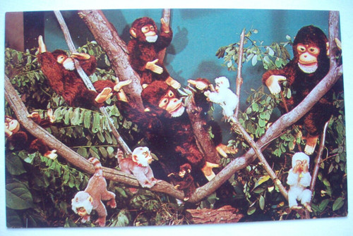 Steiff zoo favorites - steiff,