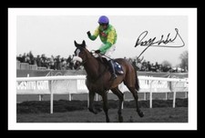 Ruby walsh kauto - ruby,