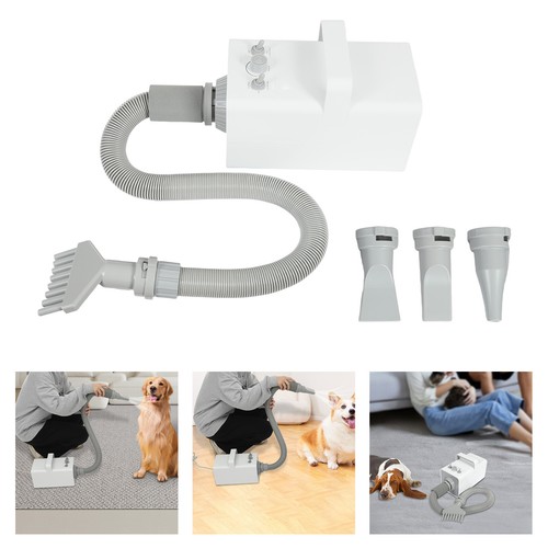 Pet dog cat - pet, grooming