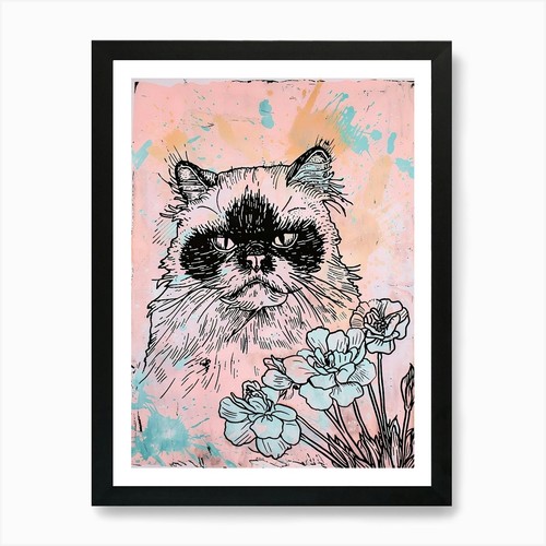 Cute himalayan cat with - cat,
