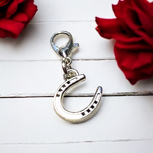 Lucky horseshoe clip charm - lucky, clip-on