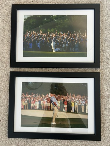 Rory mcilroy winning - -,