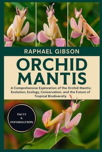 Orchid mantis comprehensive - orchid,