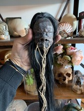 Cabinet of Curiosities Oddities Shrunken Head Tsantsa Jivaro