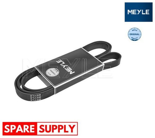 Ribbed belts for alfa romeo - belts,