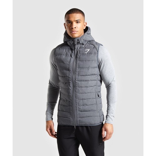 Gymshark sector gilet gray - gymshark, v2