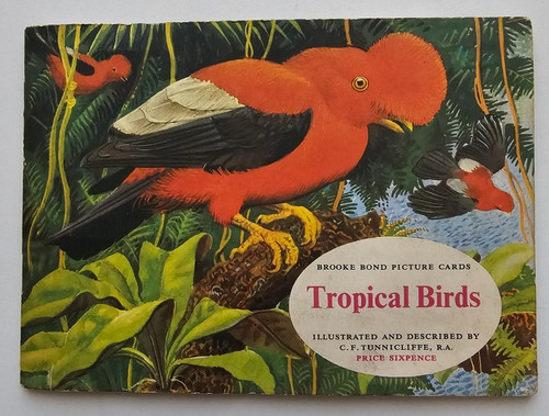 Brooke bond picture card - picture, book