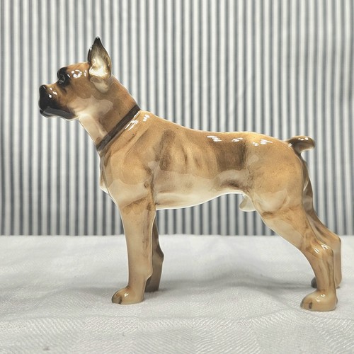 Vintage boxer dog - boxer,