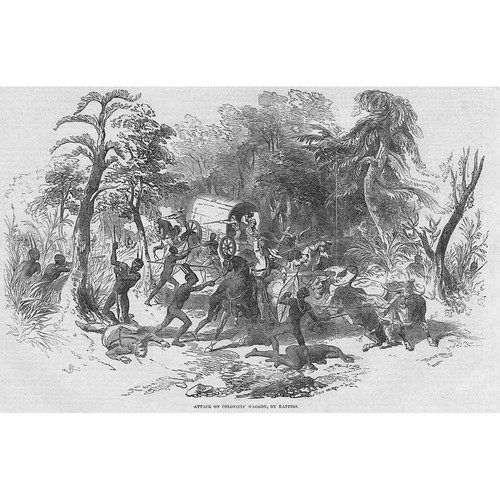 South africa attack - south,