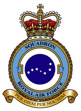 RAF 7 SQUADRON BADGE ON METAL