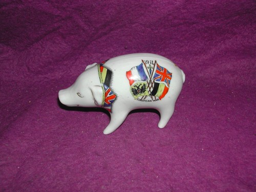 Corona crested china pig - corona,