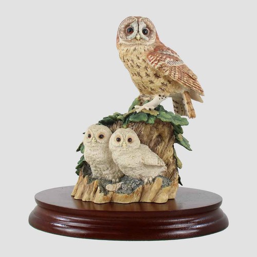 Tawny owl and - and, owlets