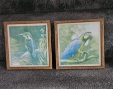 Pair of Vintage Bird Prints