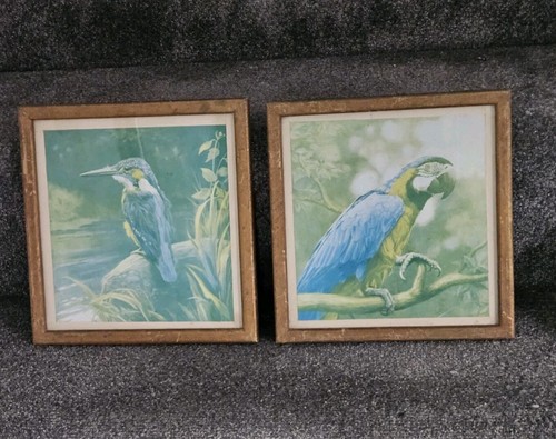 Pair vintage bird - of, prints