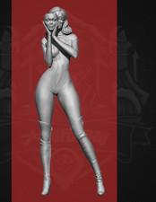 1/24 Resin Female Machine Lady