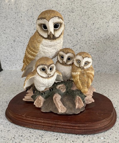 Barn owl and chicks - barn,