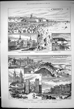 Old Isle Thanet Dandelion