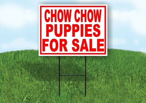 Chow puppies for - sale, red