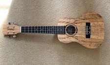 Quality Tanglewood Concert Ukulele TWT10 