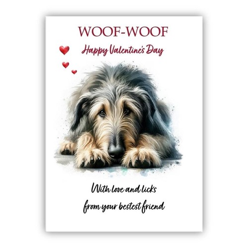 Irish wolfhound dog - irish,