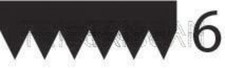 Ribbed belt black triscan - belt,