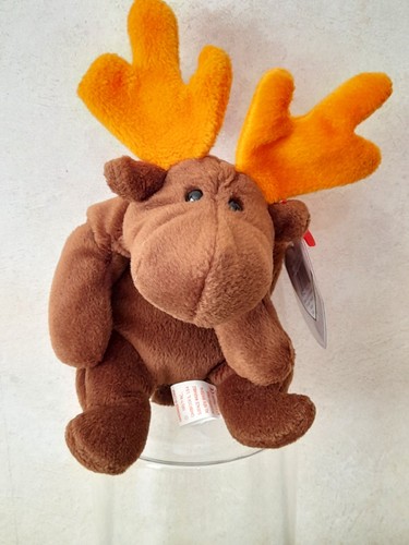 Beanie babies chocolate the - ty,