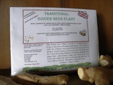 TRADITIONAL GINGER BEER PLANT 4 LTRS WEEK HOME KIT/BREW ALCOHOLIC/NON ALCOHOLIC