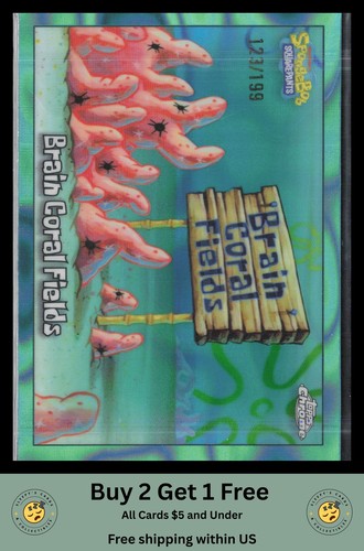 Brain coral fields aqua - brain,