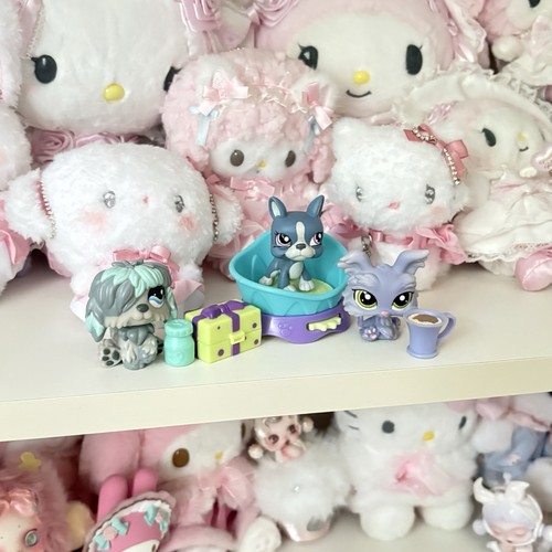 Littlest pet shop blue - pet,