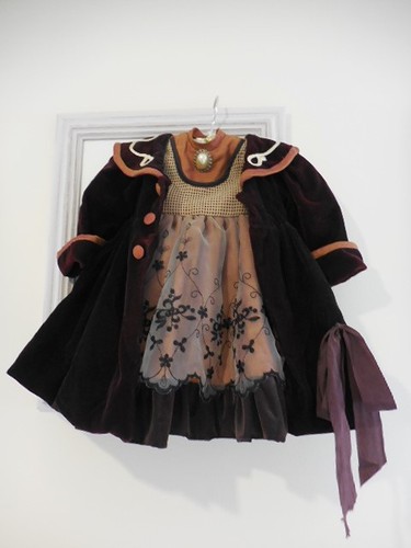 Stunning dress and silk velvet - stunning,