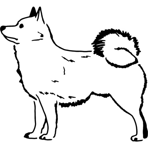 Schipperke dog stencils - dog',