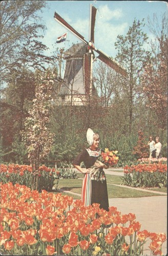 Vintage 1971 holland postcard - holland,