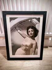 Elizabeth Taylor  Hollywood Beauty Stylish Black and White Framed Picture