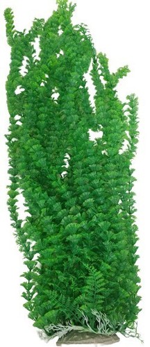 Jumbo bushy aquarium pond - jumbo,