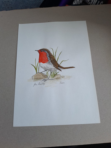 Original watercolour bird - watercolour,