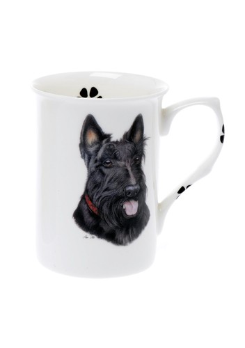 Single bone china - (bb8),