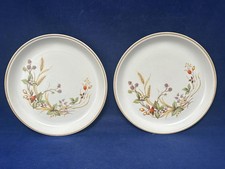 M&S HARVEST 10 1/2" DINNER PLATES X 2 - VGC