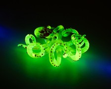 Handmade Uranium Glass Octopus