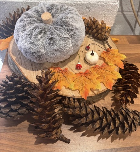 Large grey pumpkin maple - large,