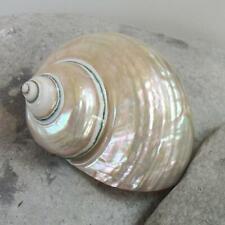 Pearl Polished Jade Turbo