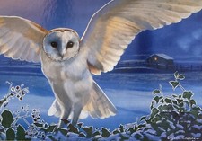 POLLYANNA PICKERING OWL IN