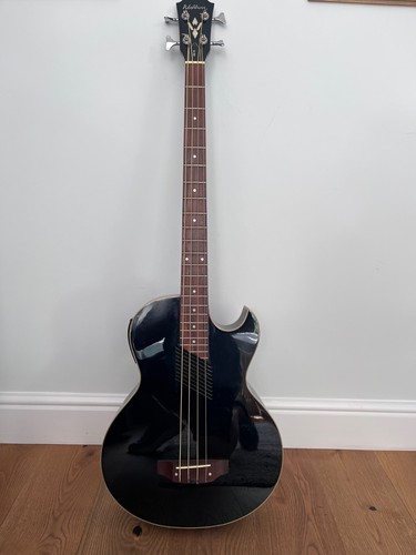 Washburn electro - washburn, ab