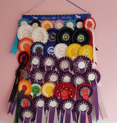 Personalised rosette holder - personalised,