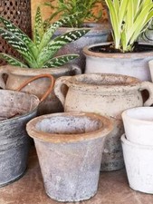 Terracotta Plant Pot, Rustic