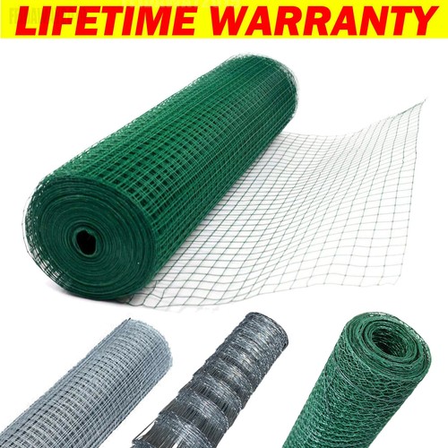 Chicken wire mesh fencing - chicken,