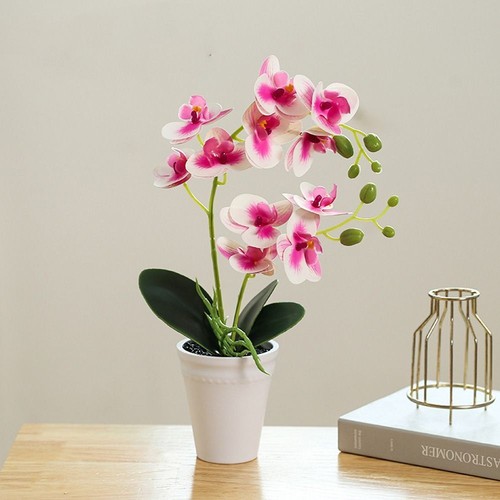 Artificial plant bonsai - artificial, fake