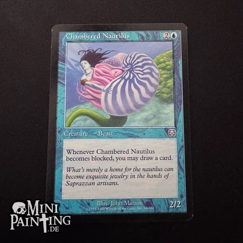 Chambered nautilus magic - chambered,